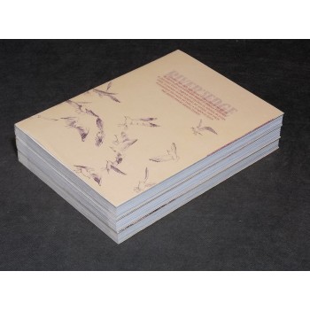 RIVER'S EDGE 1/3 Serie Cpl – di A. Tanaka e Y. Hijikata – Magic Press 2011 NUOVI