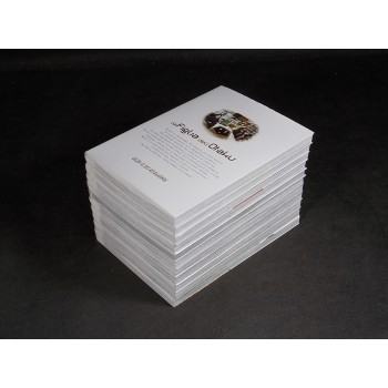 LA FIGLIA DELL'OTAKU 1/11 Serie completa – di Stahiro – Magic Press 2011