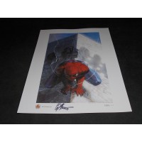 SPIDER-MAN di Dell'Otto - Litografia firmata n. 65/1000 cm 33x48 – Narnia 2007