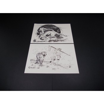 TARZAN DELLE SCIMMIE di Edgar Rice Burroughs 1912-1992 NELL'INTERPREAZIONE DI:... portfolio